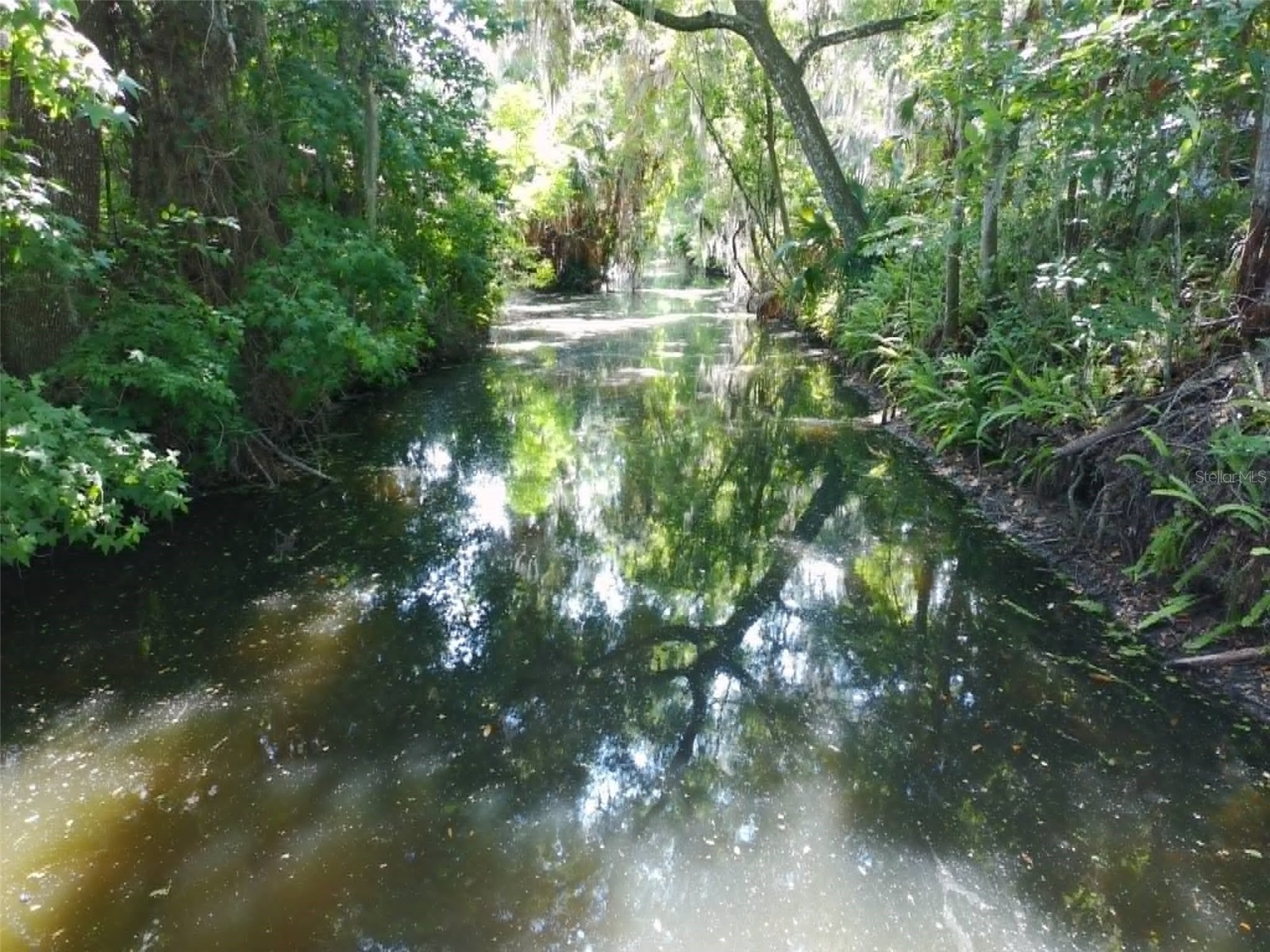 4331 Magnolia Avenue Leesburg FL 34748 - LAKE HARRIS L4961818 image39