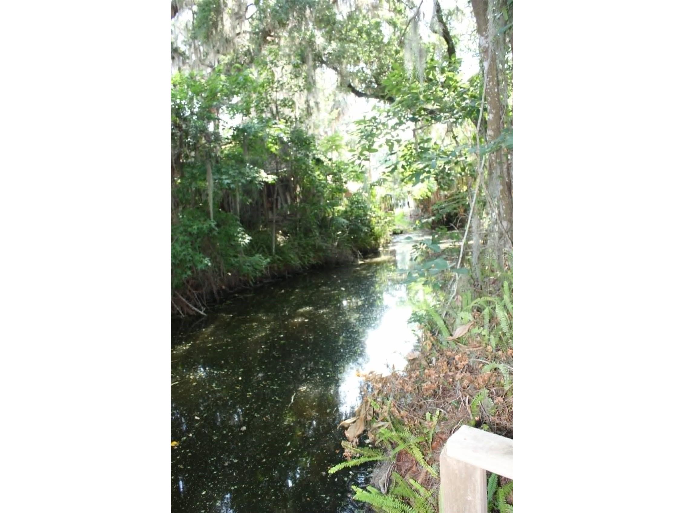 4331 Magnolia Avenue Leesburg FL 34748 - LAKE HARRIS L4961818 image40