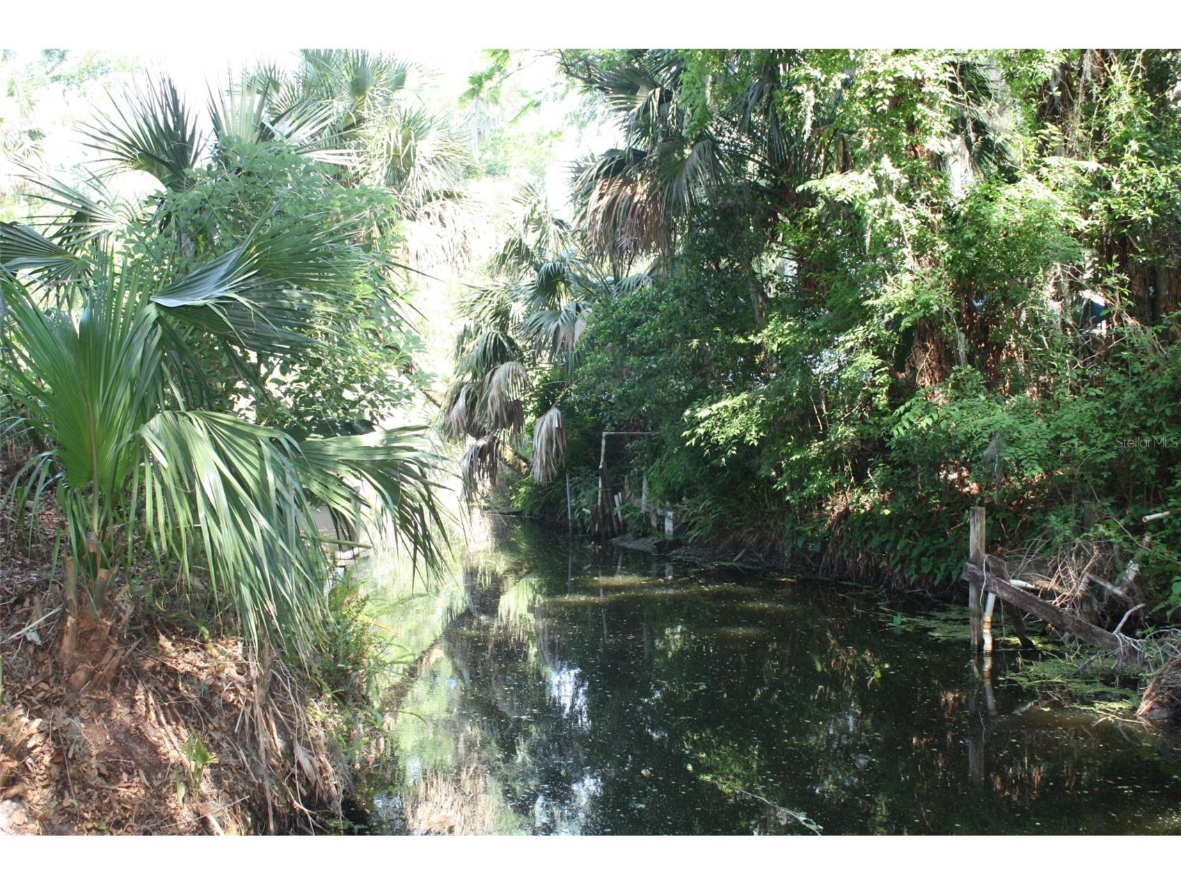 4331 Magnolia Avenue Leesburg FL 34748 - LAKE HARRIS L4961818 image41