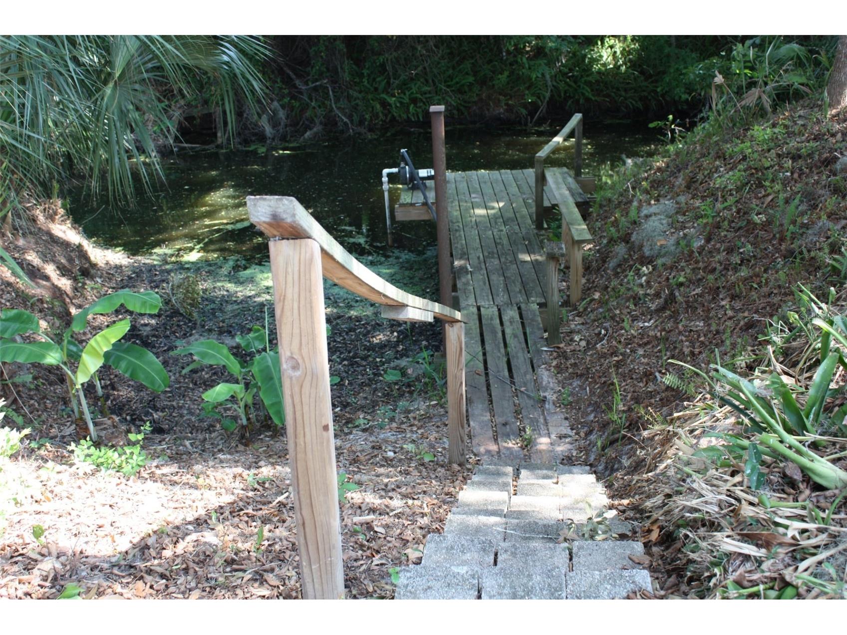 4331 Magnolia Avenue Leesburg FL 34748 - LAKE HARRIS L4961818 image52
