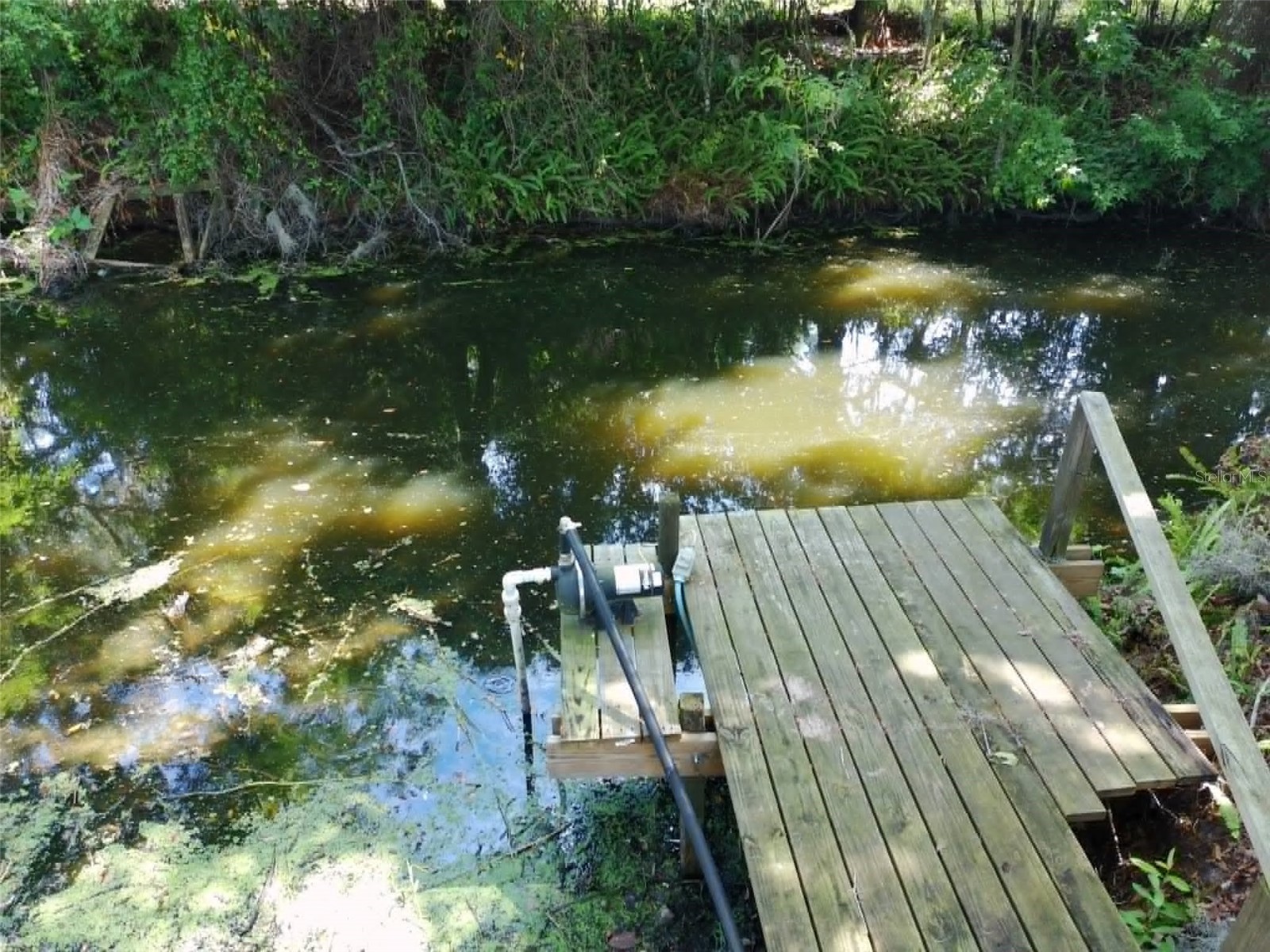 4331 Magnolia Avenue Leesburg FL 34748 - LAKE HARRIS L4961818 image53