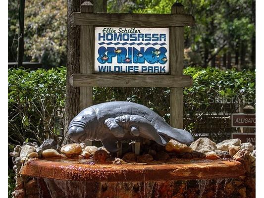 4331 S Marcan Terrace Homosassa FL 34446 OM680683 image11