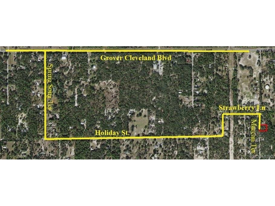 4331 S Marcan Terrace Homosassa FL 34446 OM680683 image13