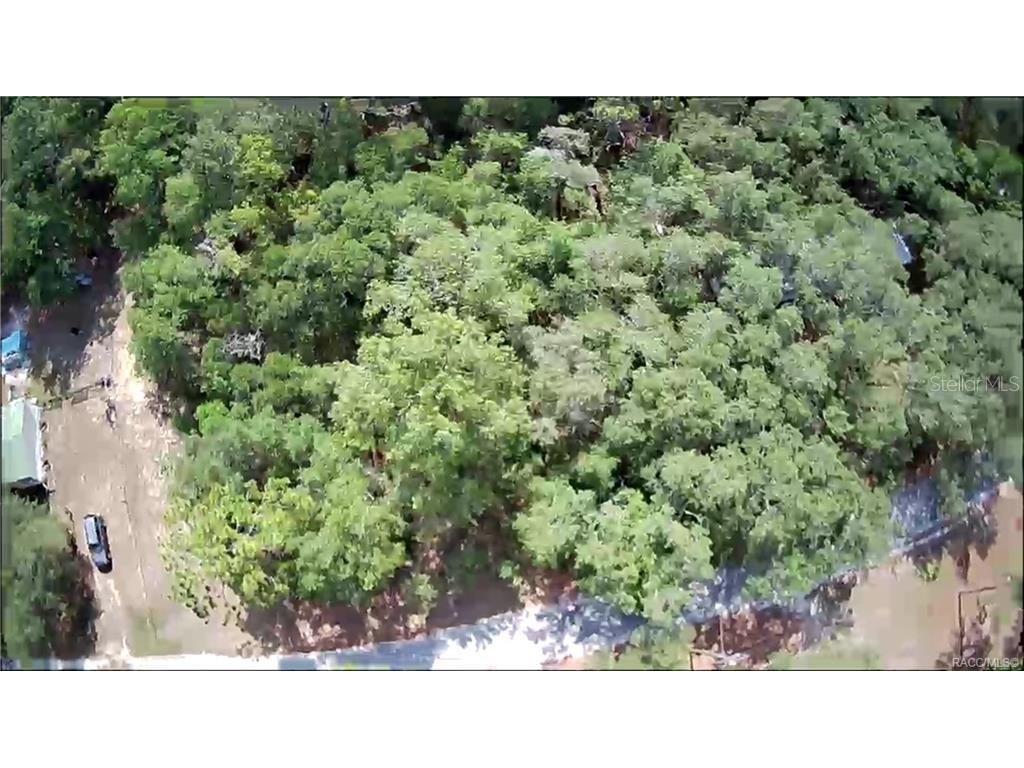 4331 S Marcan Terrace Homosassa FL 34446 OM680683 image2