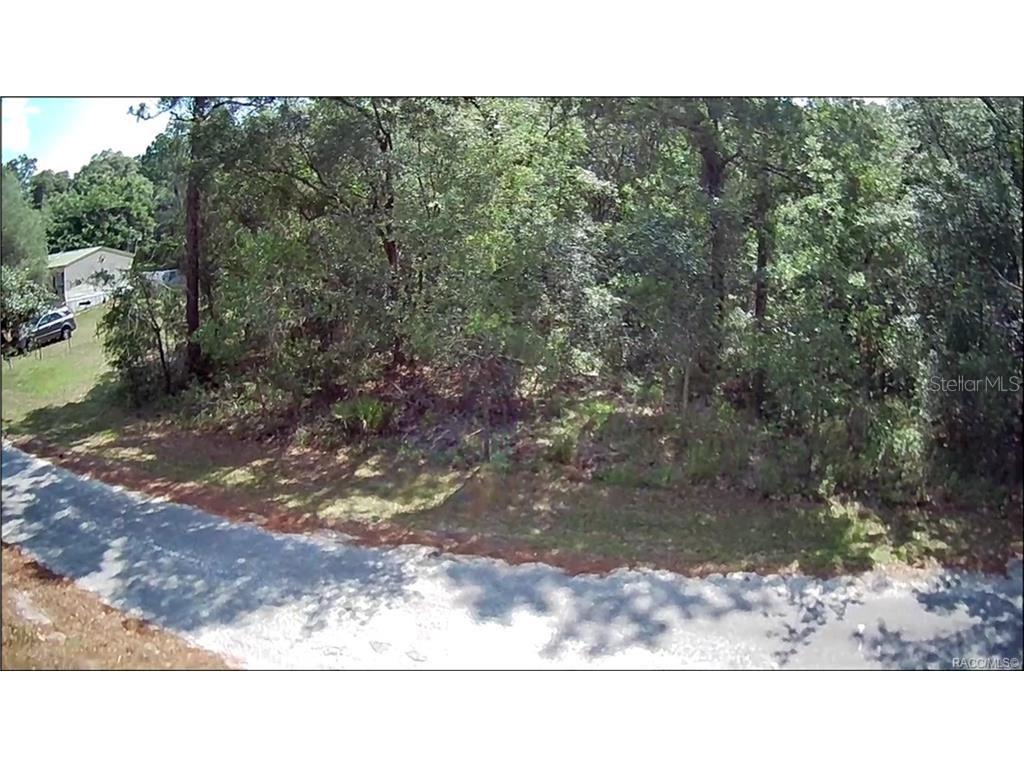 4331 S Marcan Terrace Homosassa FL 34446 OM680683 image5