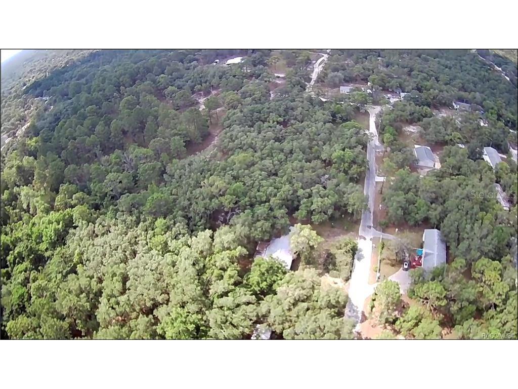 4331 S Marcan Terrace Homosassa FL 34446 OM680683 image8