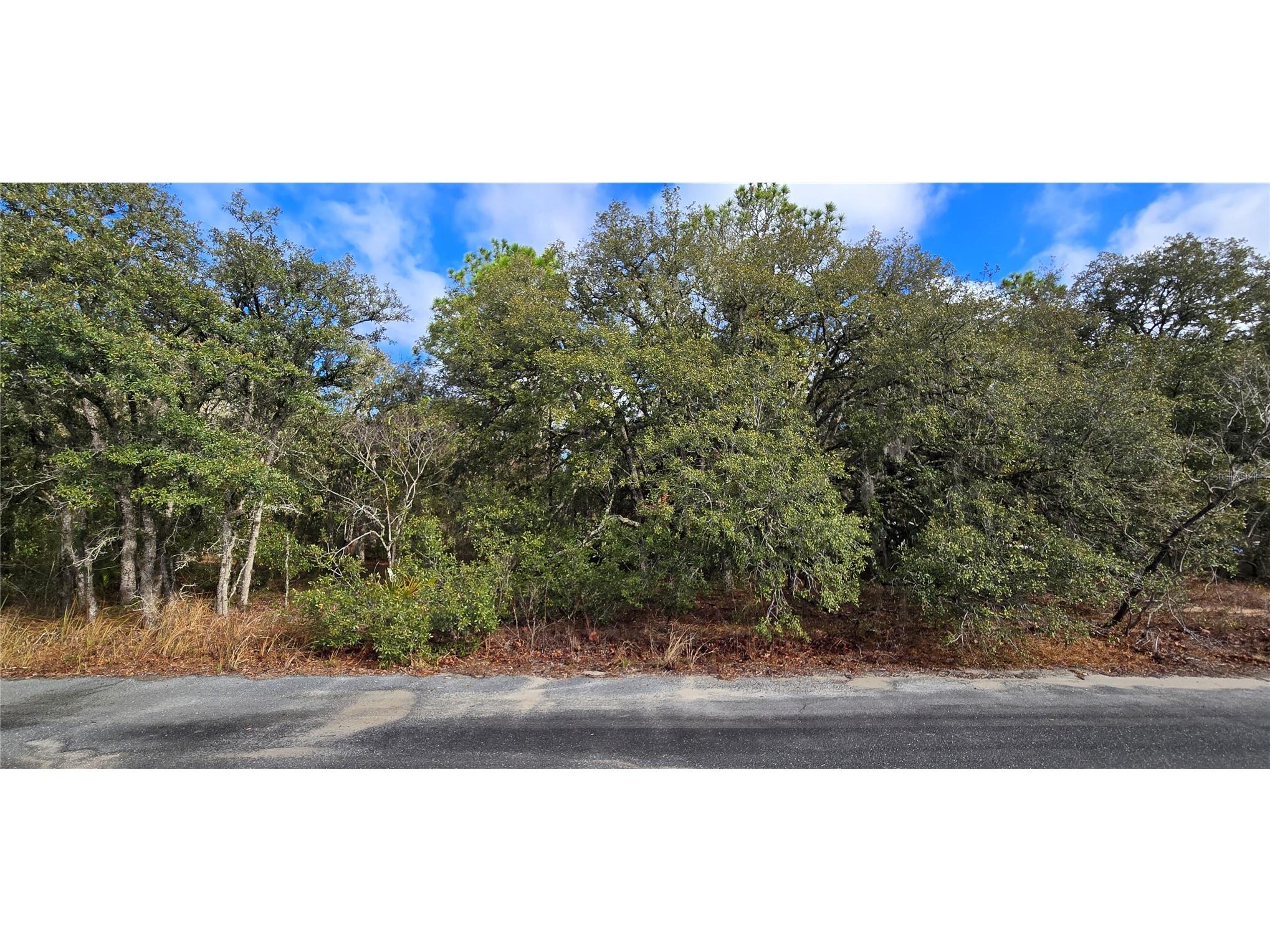 4331 W Donali Court Homosassa FL 34446 W7883095 image1