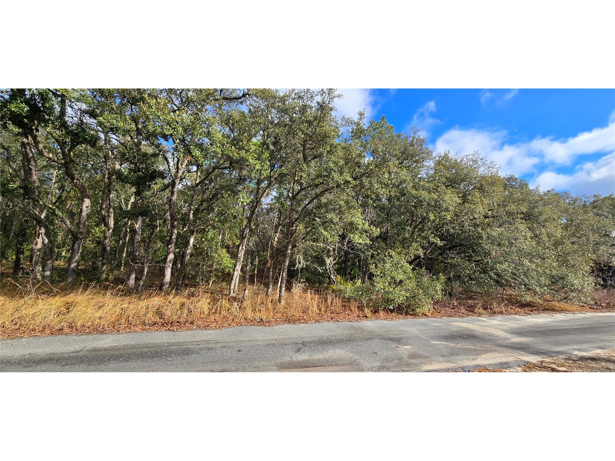 4331 W Donali Court Homosassa FL 34446 W7883095 image2