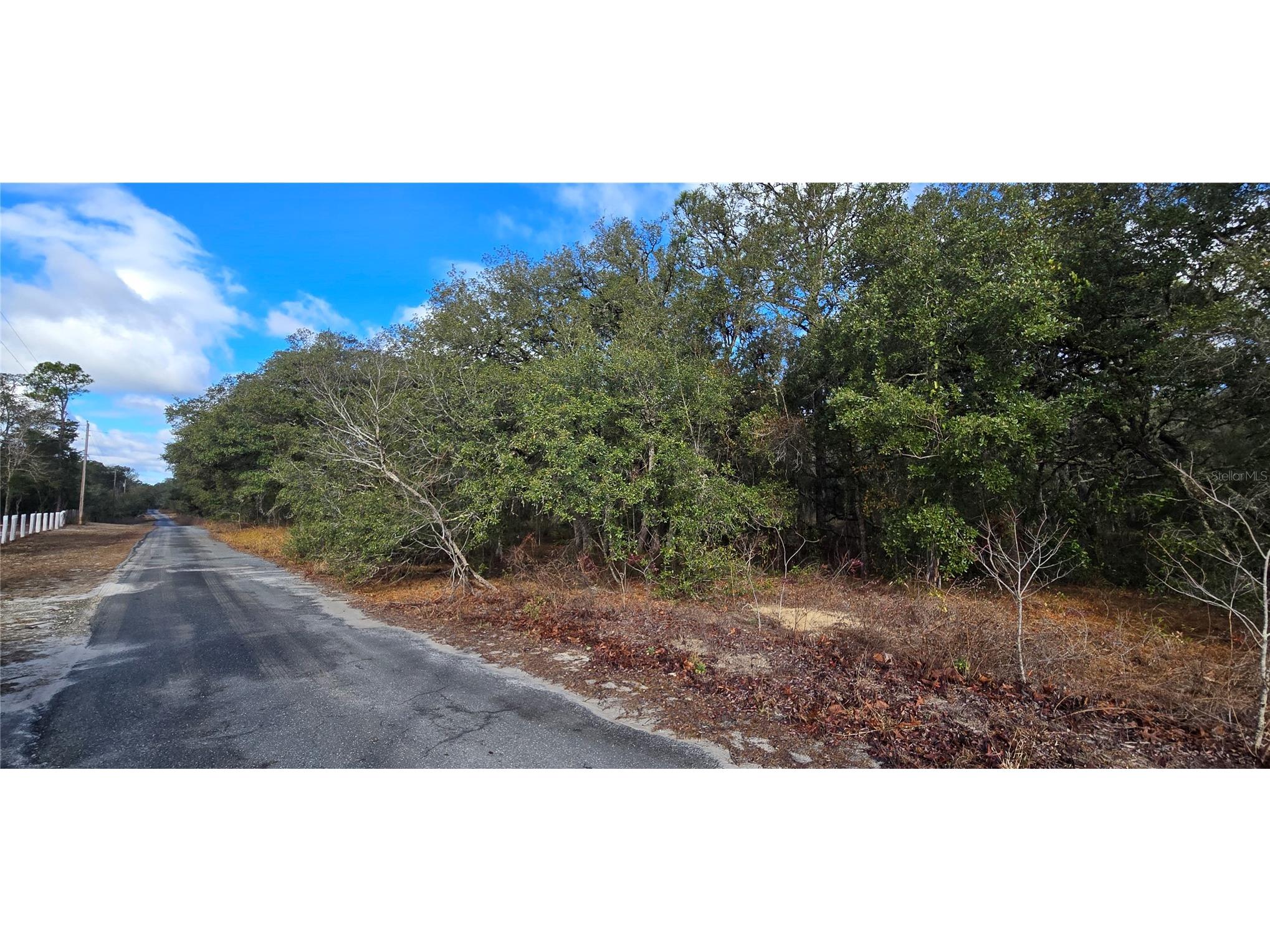 4331 W Donali Court Homosassa FL 34446 W7883095 image4