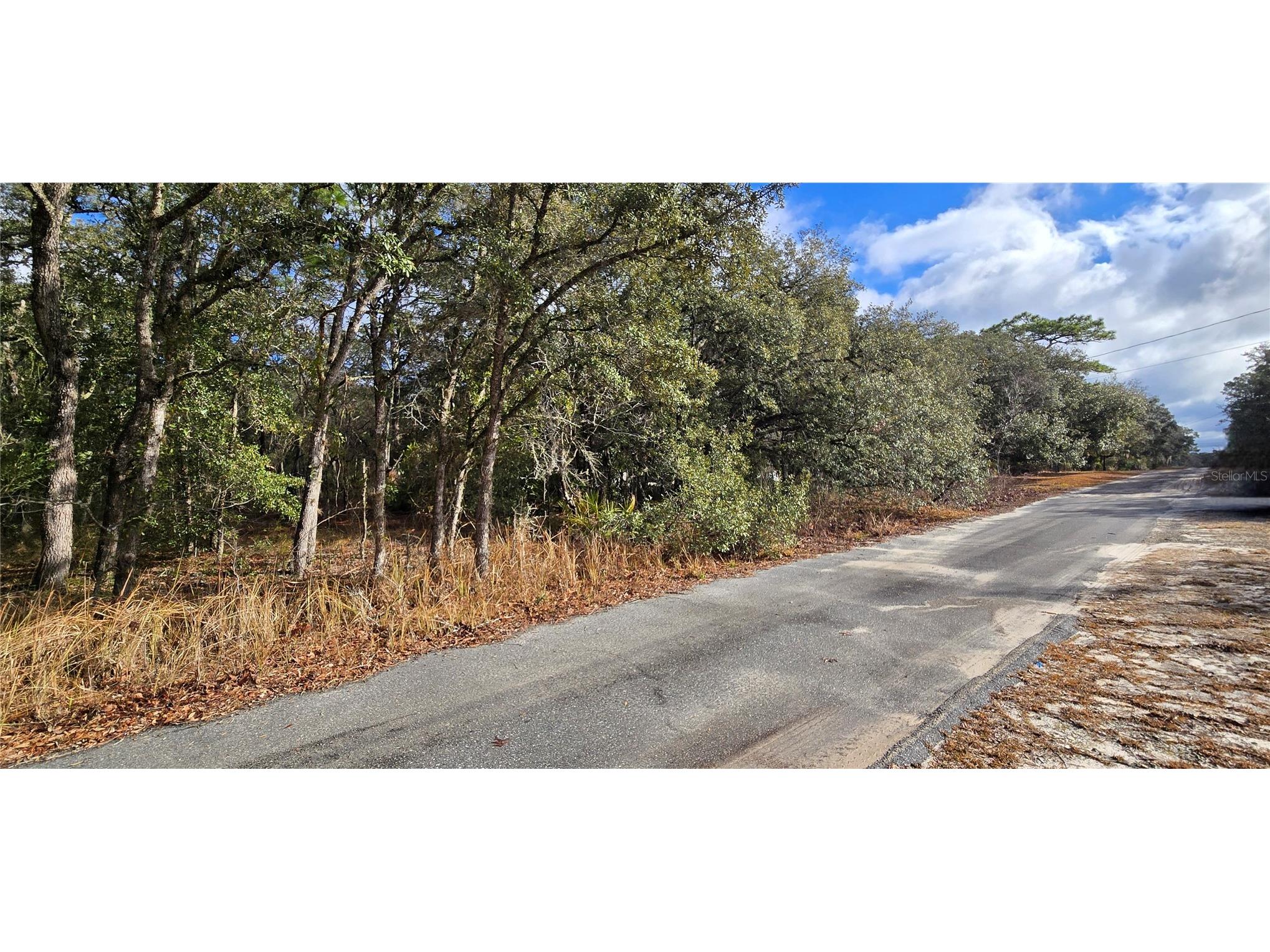 4331 W Donali Court Homosassa FL 34446 W7883095 image5