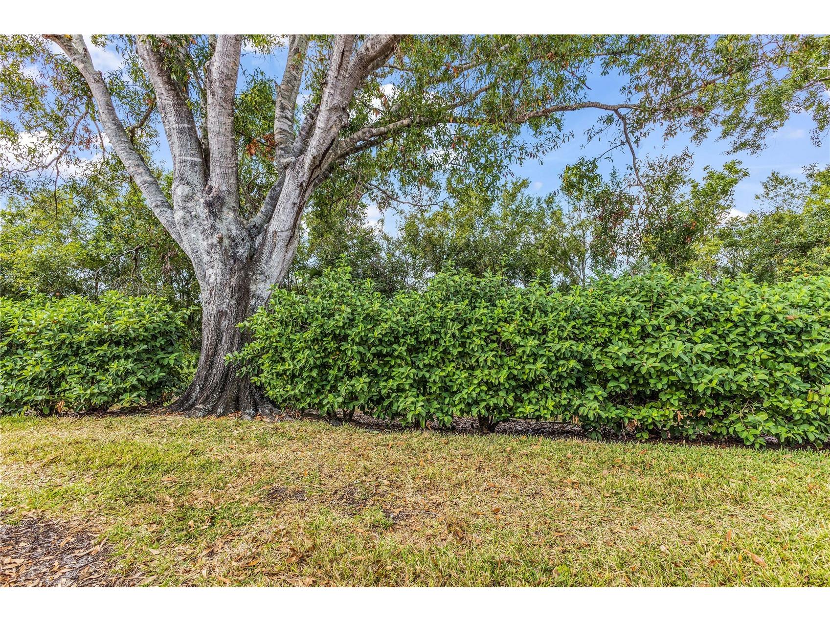4332 Marseilles Avenue #3236 Sarasota FL 34233 A4677424 image54