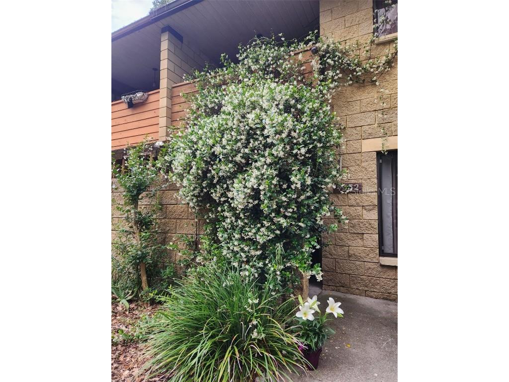 4332 SW 67th Terrace Gainesville FL 32608 GC526091 image1