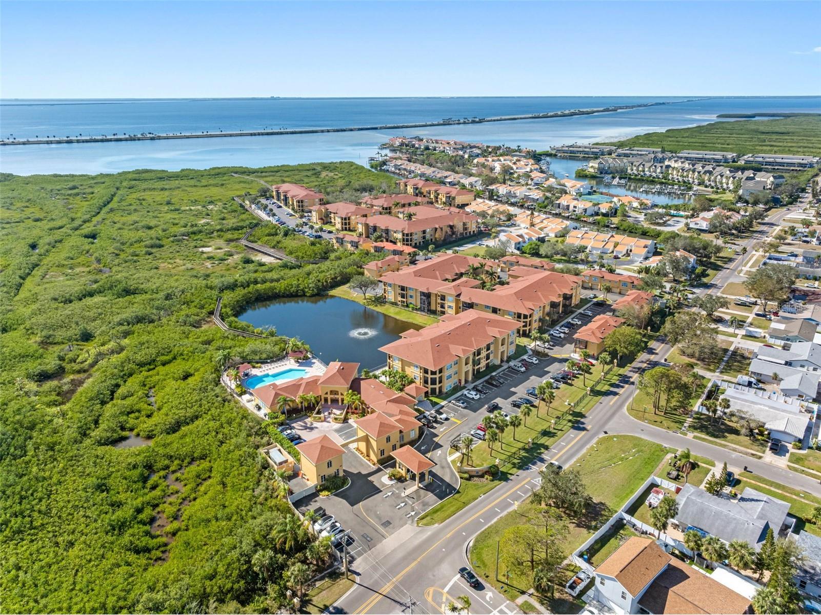 4333 Bayside Village Drive #102 Tampa FL 33615 TB8504768 image2