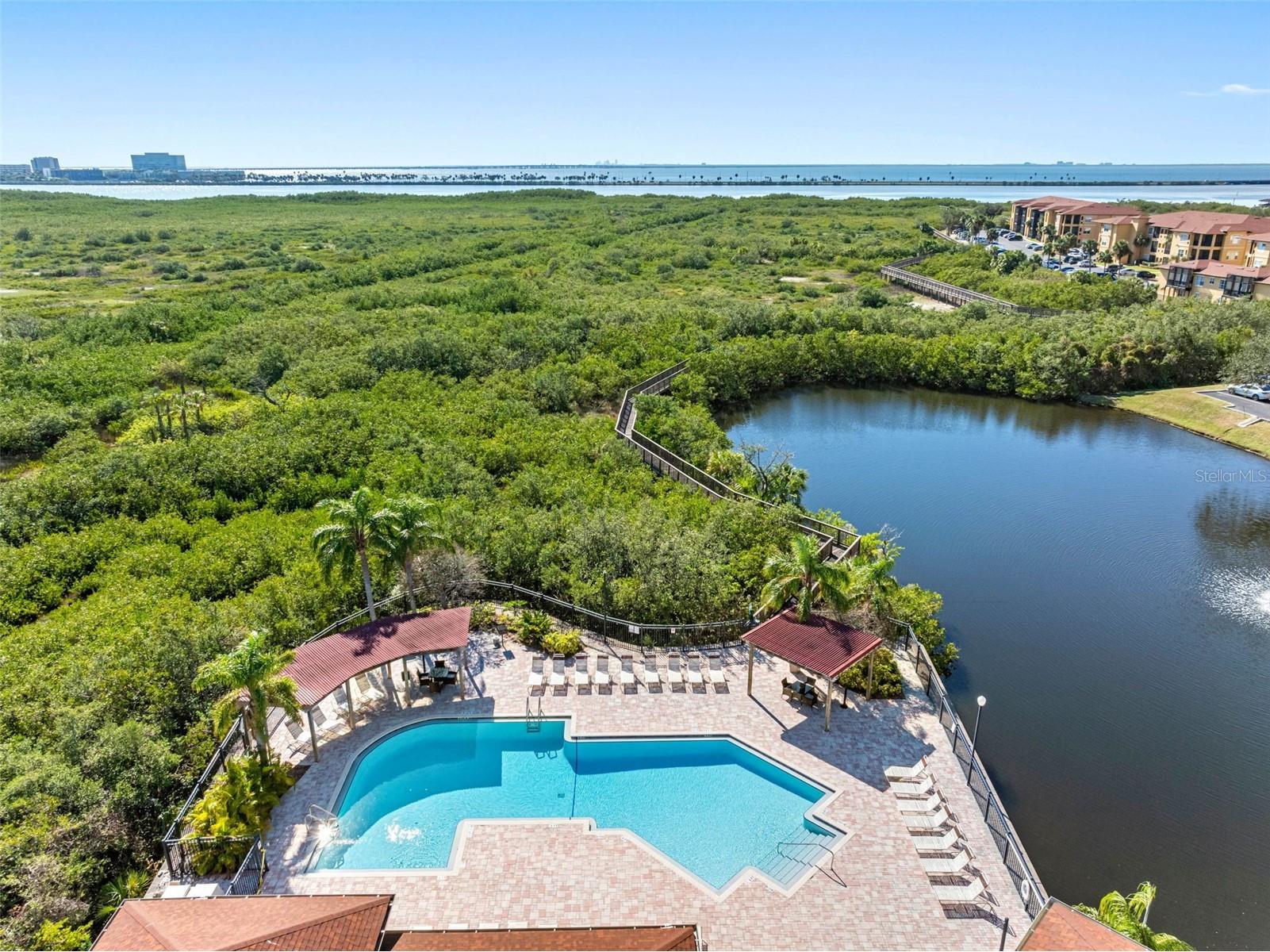 4333 Bayside Village Drive #102 Tampa FL 33615 TB8504768 image36
