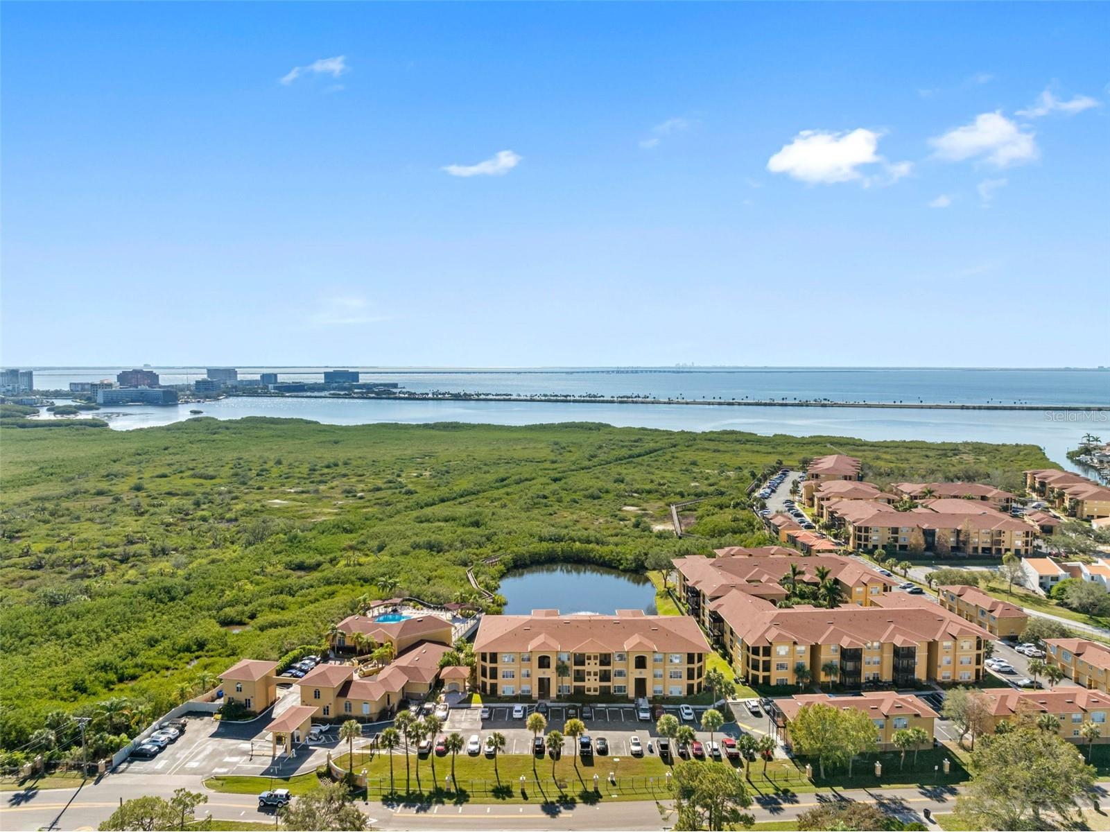 4333 Bayside Village Drive #102 Tampa FL 33615 TB8504768 image4