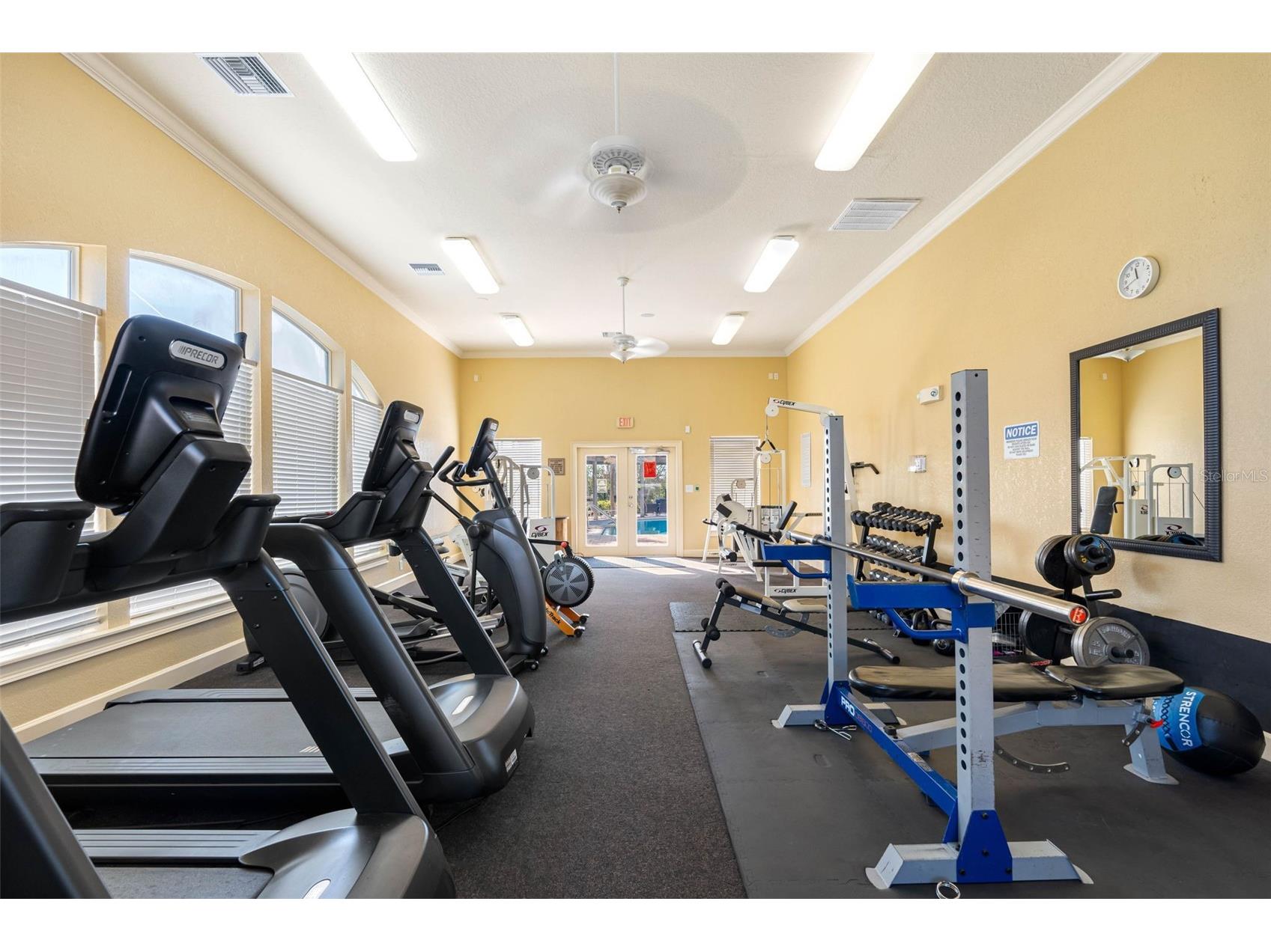 4333 Bayside Village Drive #102 Tampa FL 33615 TB8504768 image52