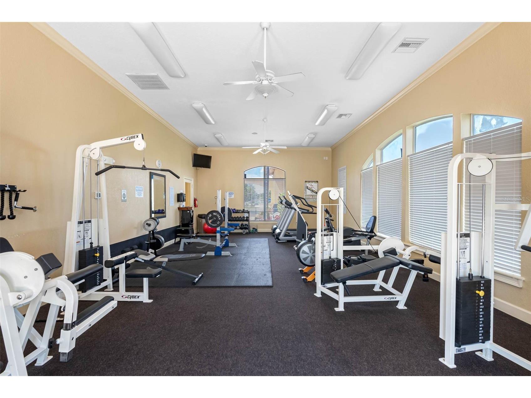 4333 Bayside Village Drive #102 Tampa FL 33615 TB8504768 image55