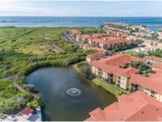 4333 Bayside Village Drive #120 Tampa FL 33615 TB8503587 image25