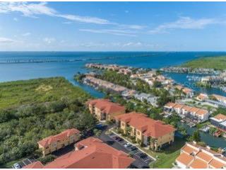 4333 Bayside Village Drive #120 Tampa FL 33615 TB8503587 image26