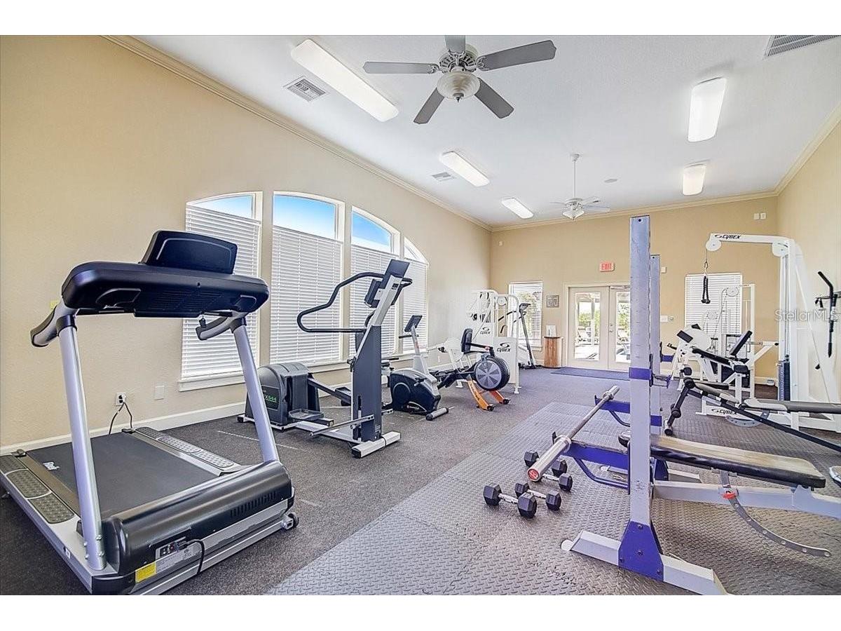 4333 Bayside Village Drive #128 Tampa FL 33615 TB8508424 image30