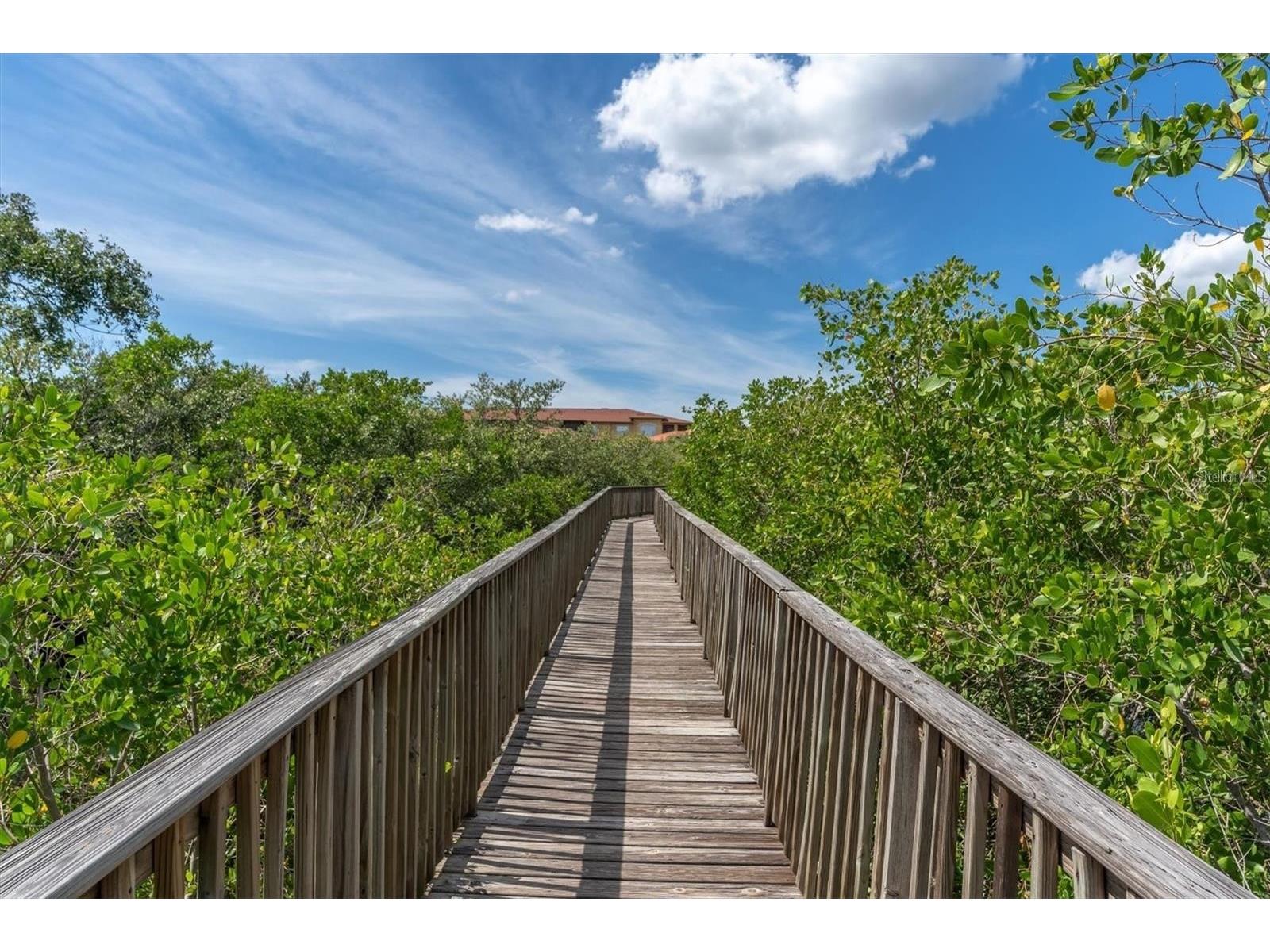 4333 Bayside Village Drive #128 Tampa FL 33615 TB8508424 image34