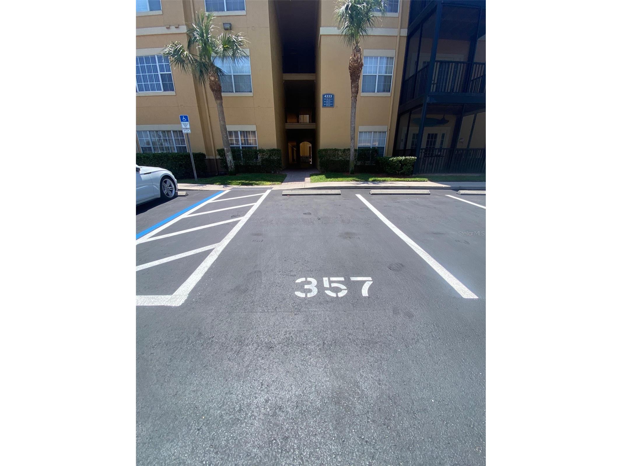 4333 Bayside Village Drive #214 Tampa FL 33615 TB8497518 image18