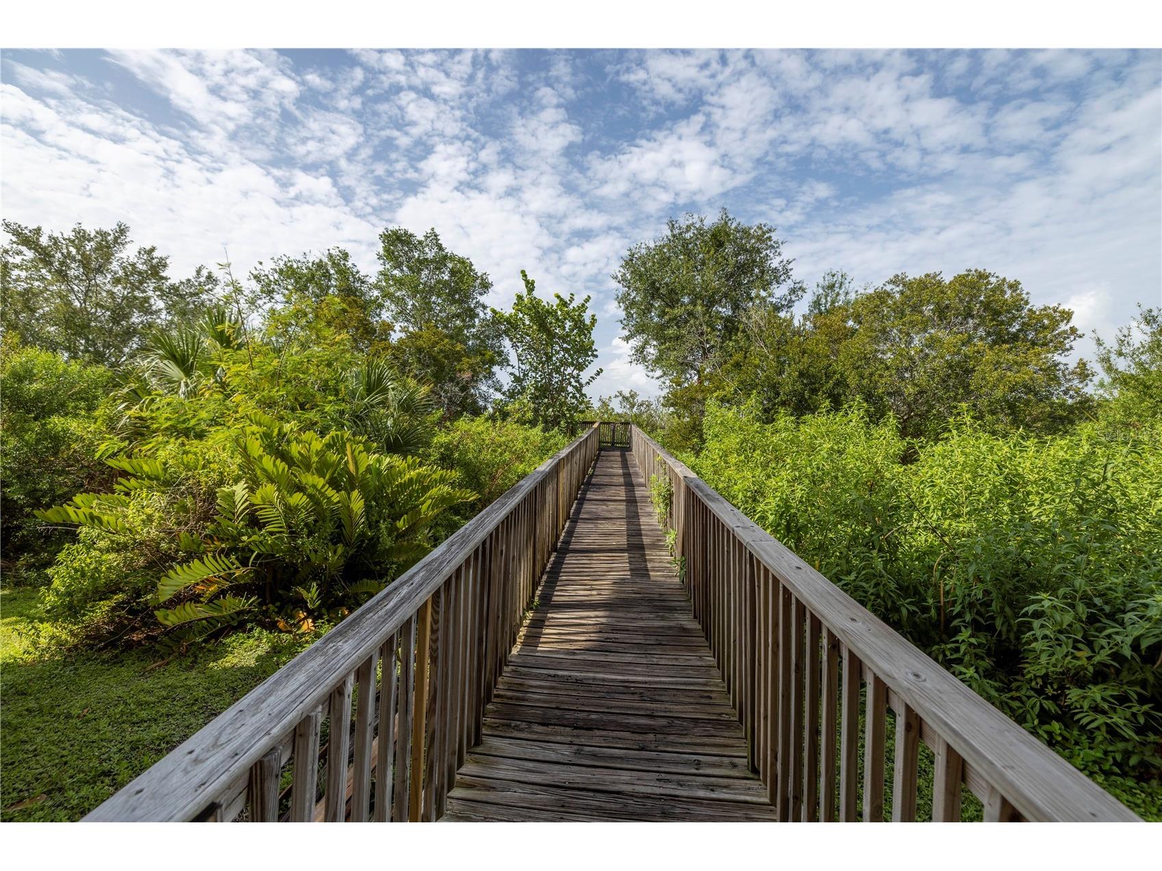 4333 Bayside Village Drive #214 Tampa FL 33615 TB8497518 image41