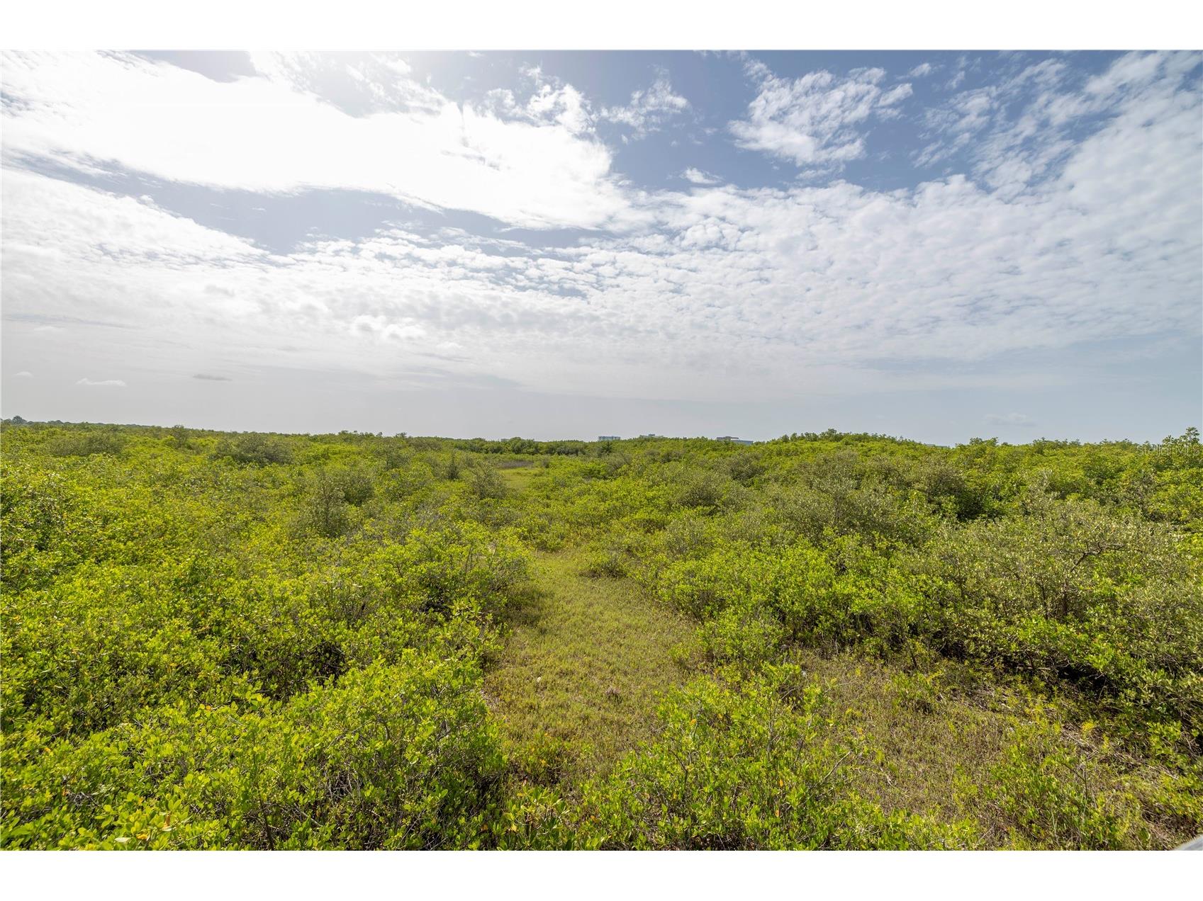 4333 Bayside Village Drive #214 Tampa FL 33615 TB8497518 image44