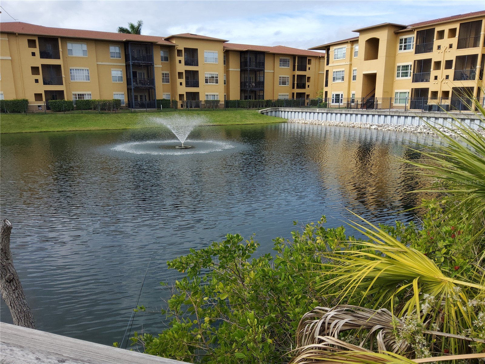 4333 Bayside Village Drive #224 Tampa FL 33615 TB8471012 image1