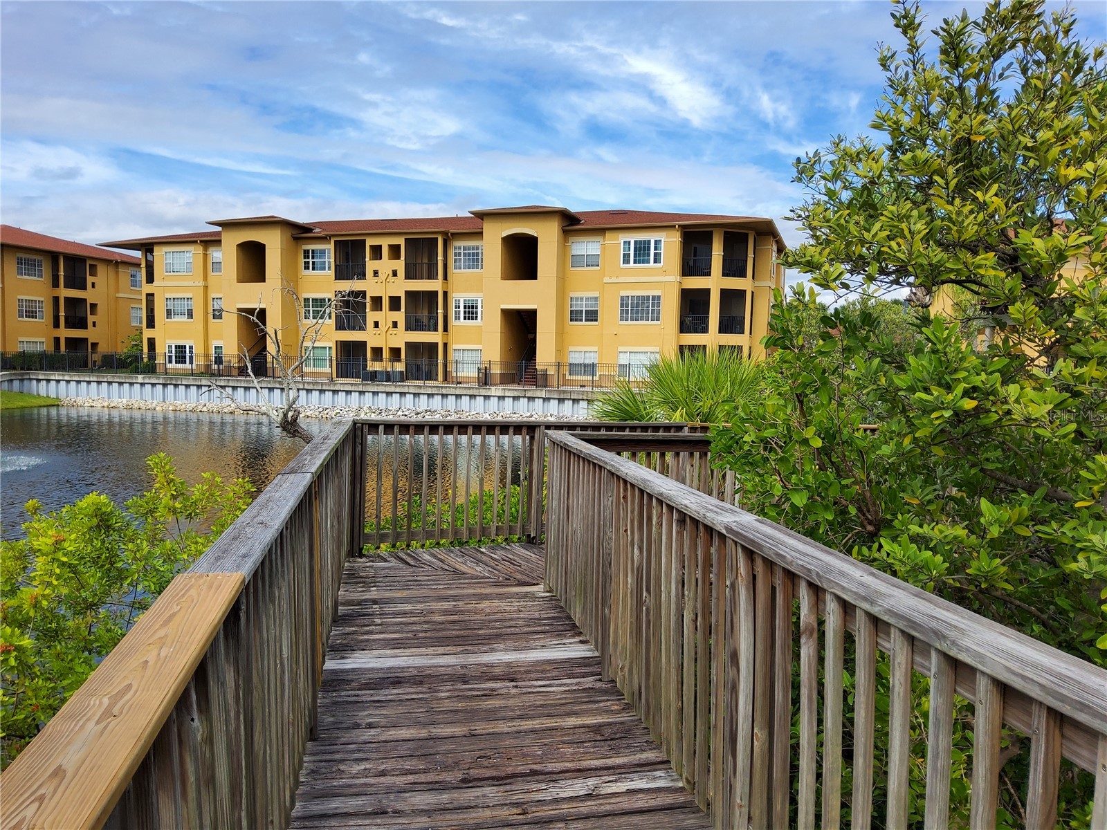 4333 Bayside Village Drive #224 Tampa FL 33615 TB8471012 image11