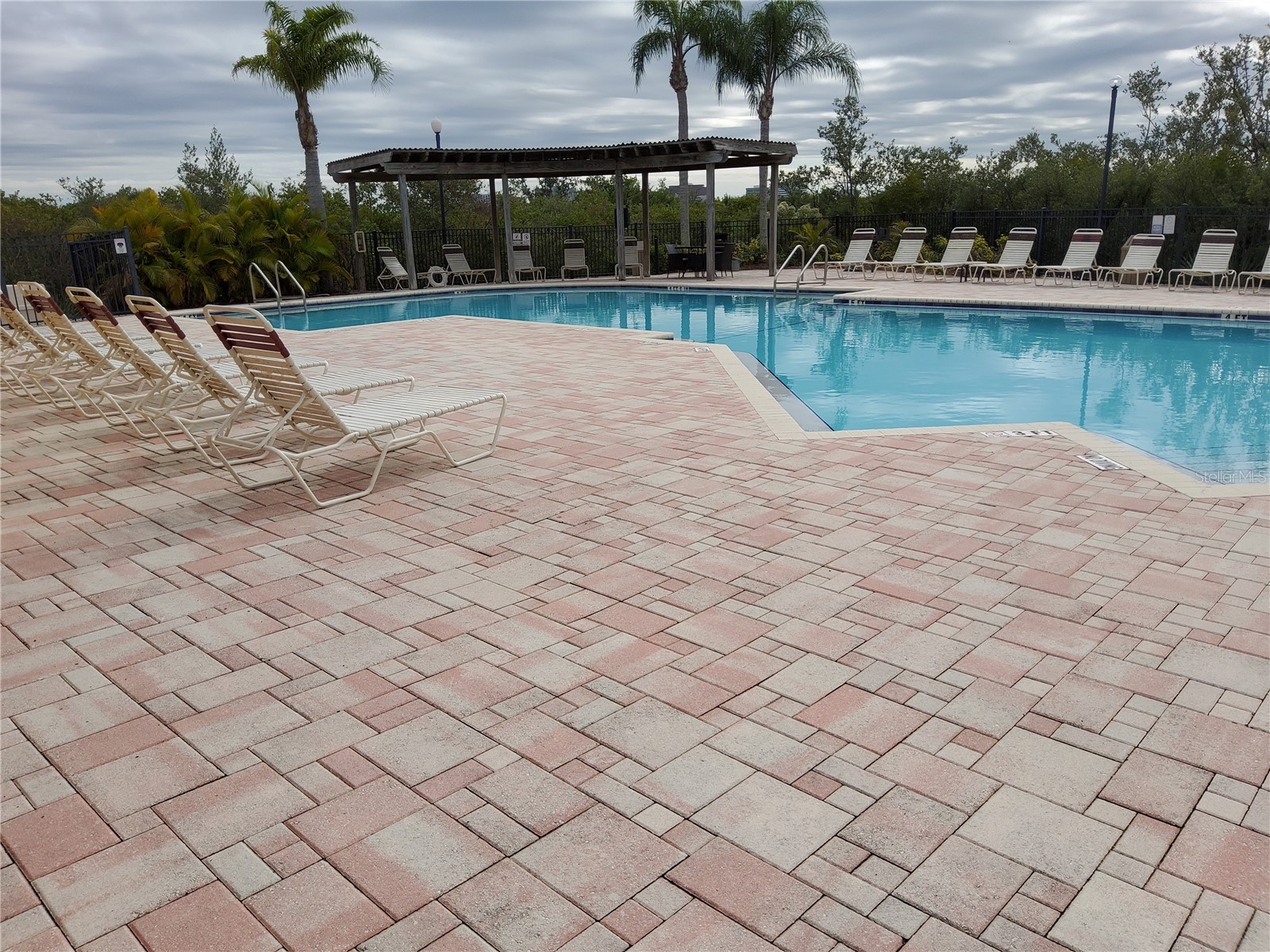 4333 Bayside Village Drive #224 Tampa FL 33615 TB8471012 image20