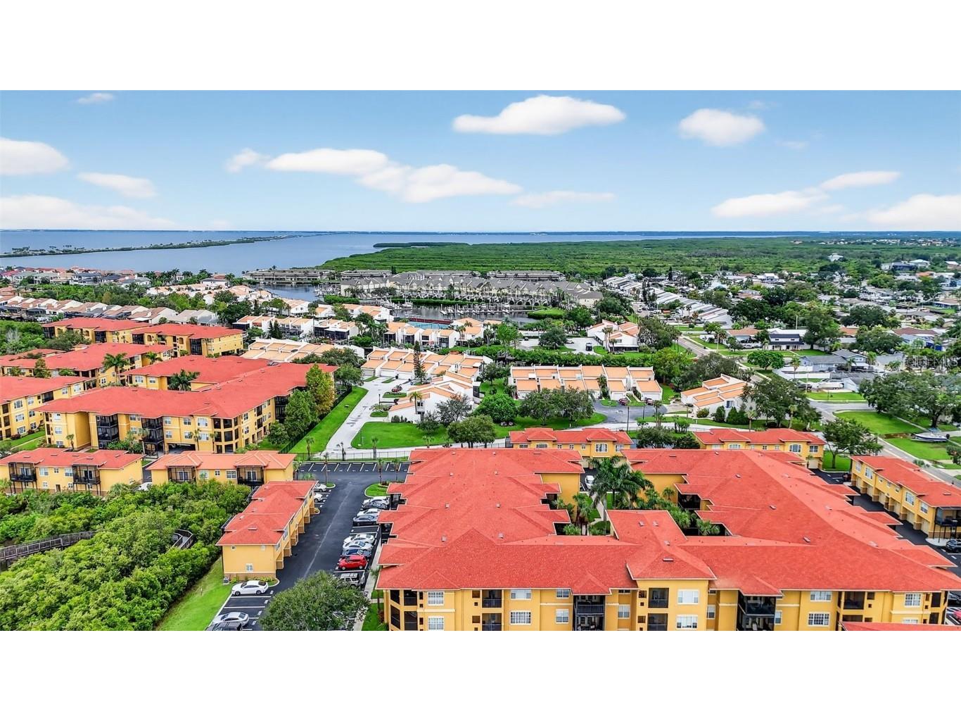 4333 Bayside Village Drive #228 Tampa FL 33615 S5134510 image39