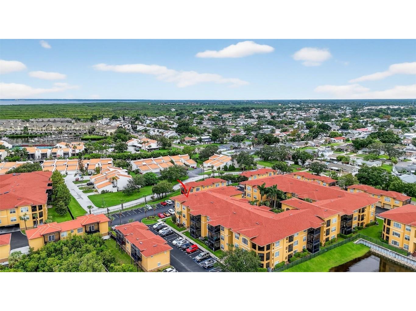 4333 Bayside Village Drive #228 Tampa FL 33615 S5134510 image40