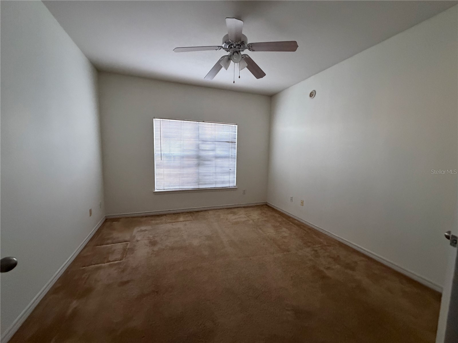 4333 Bayside Village Drive #229 Tampa FL 33615 TB8495007 image13