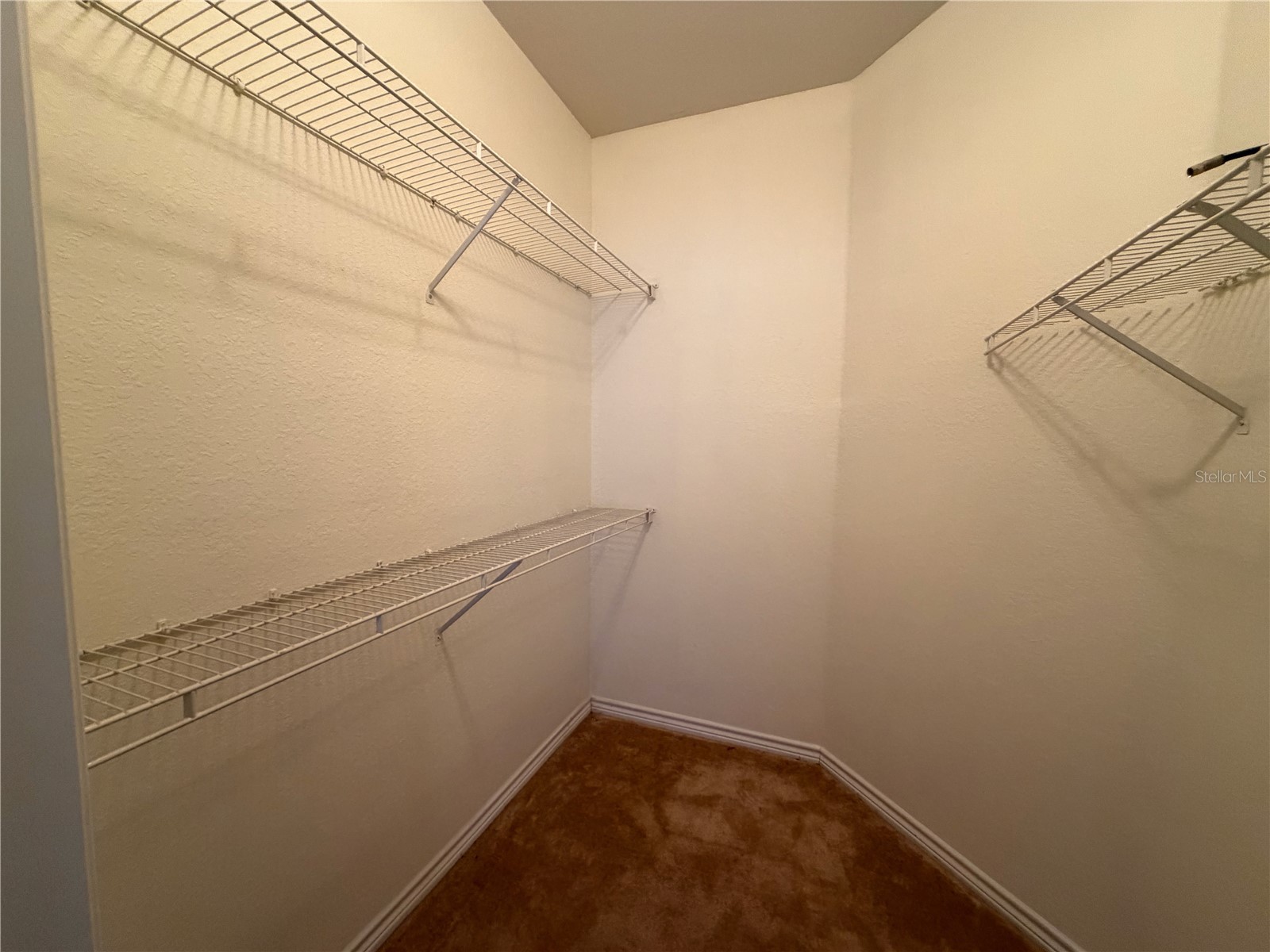 4333 Bayside Village Drive #229 Tampa FL 33615 TB8495007 image14