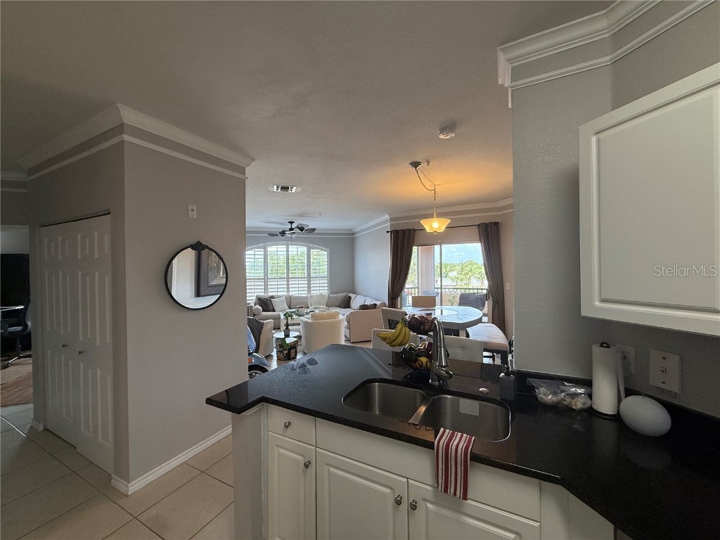 4333 Bayside Village Drive #310 Tampa FL 33615 O6305832 image14