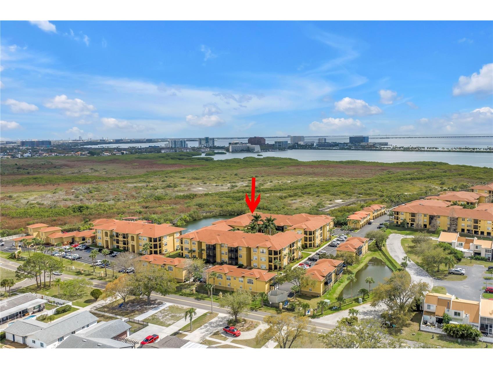 4333 Bayside Village Drive #320 Tampa FL 33615 TB8483725 image45