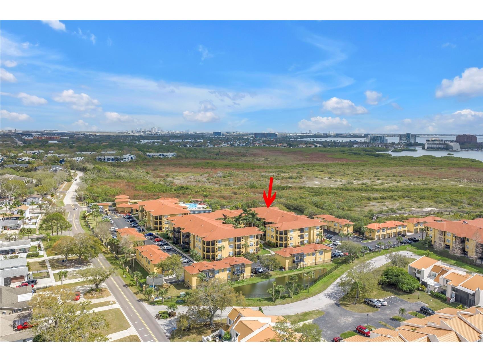4333 Bayside Village Drive #320 Tampa FL 33615 TB8483725 image46