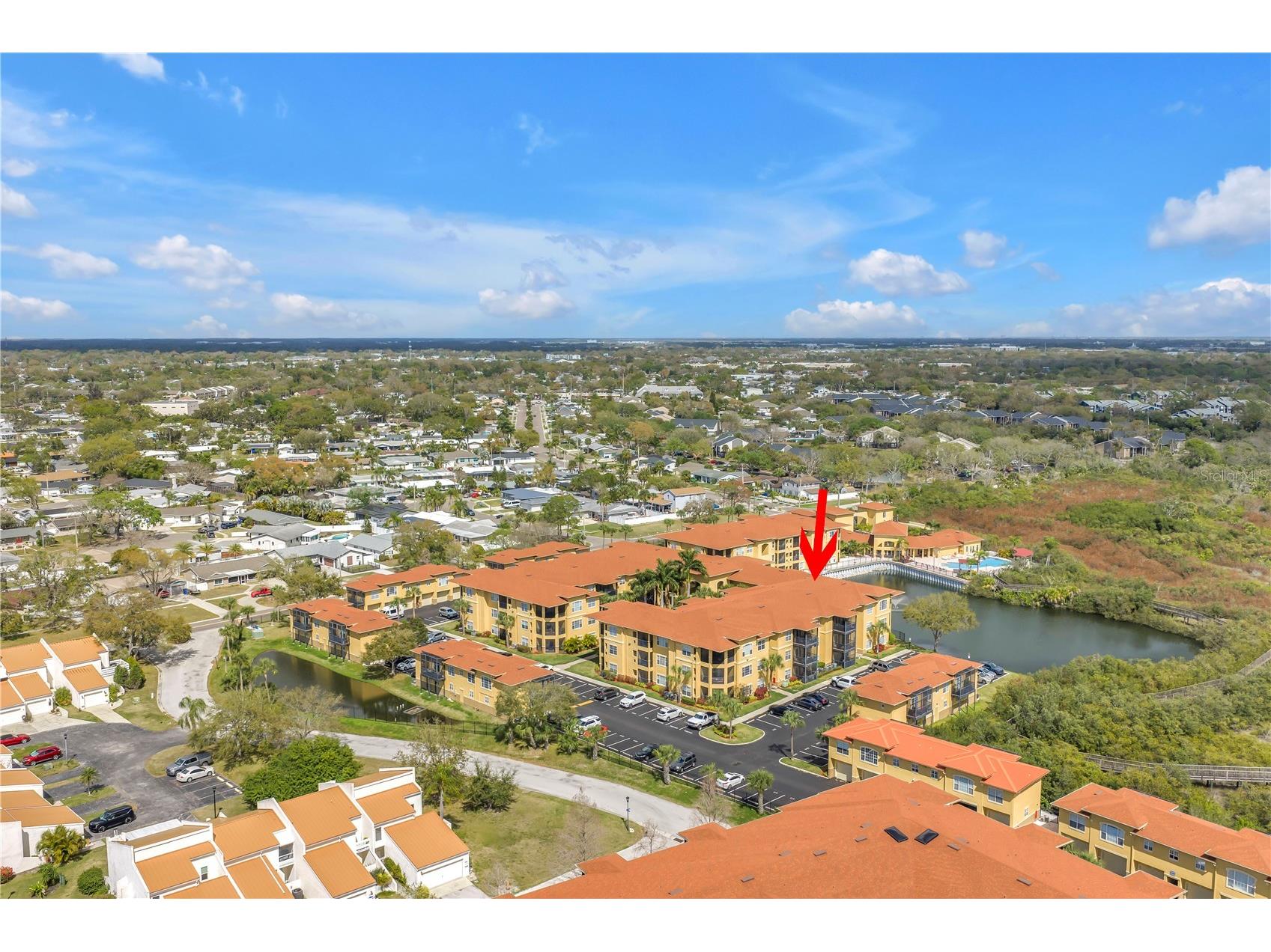 4333 Bayside Village Drive #320 Tampa FL 33615 TB8483725 image48