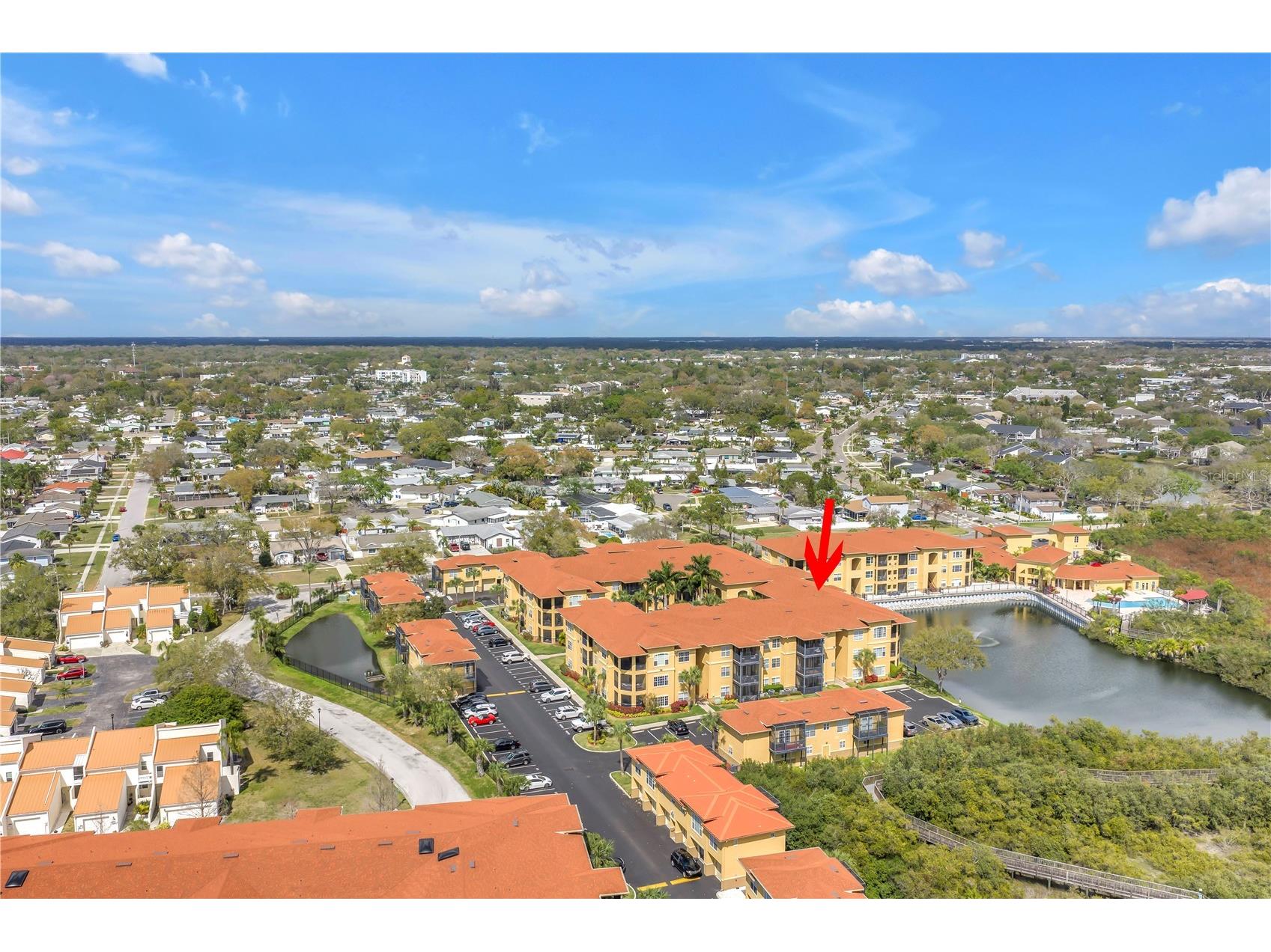 4333 Bayside Village Drive #320 Tampa FL 33615 TB8483725 image49