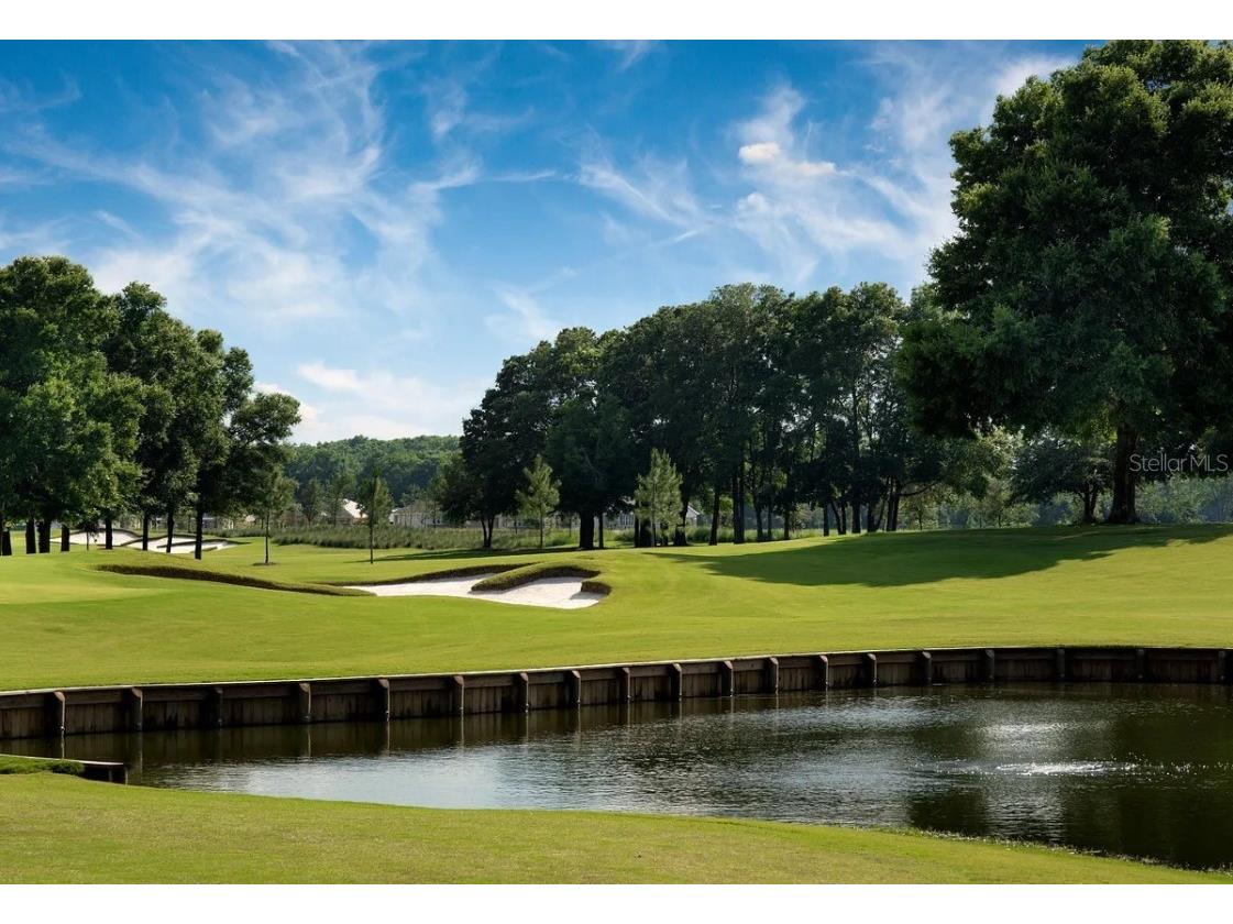 4333 NW 54th Terrace Ocala FL 34482 OM708023 image38