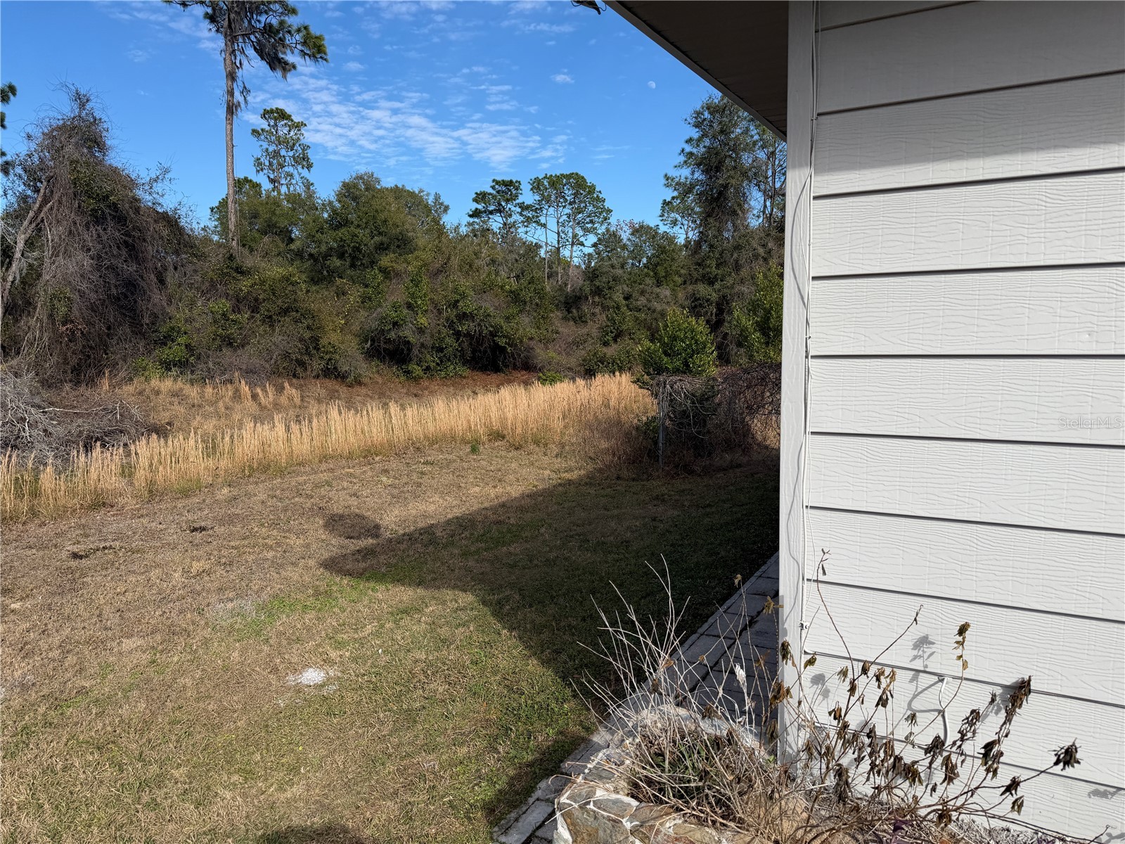 4333 S Rainbow Drive Inverness FL 34452 OM711509 image4