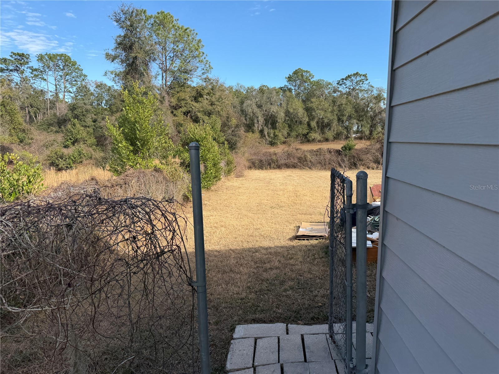 4333 S Rainbow Drive Inverness FL 34452 OM711509 image6