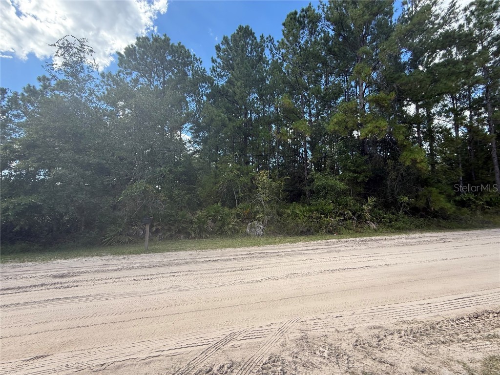 4334 Lori Loop Road Keystone Heights FL 32656 FC312772 image5