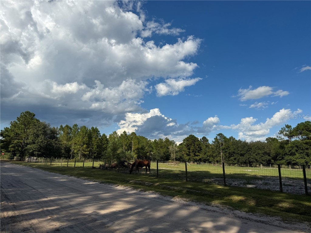 4334 Lori Loop Road Keystone Heights FL 32656 FC312772 image6