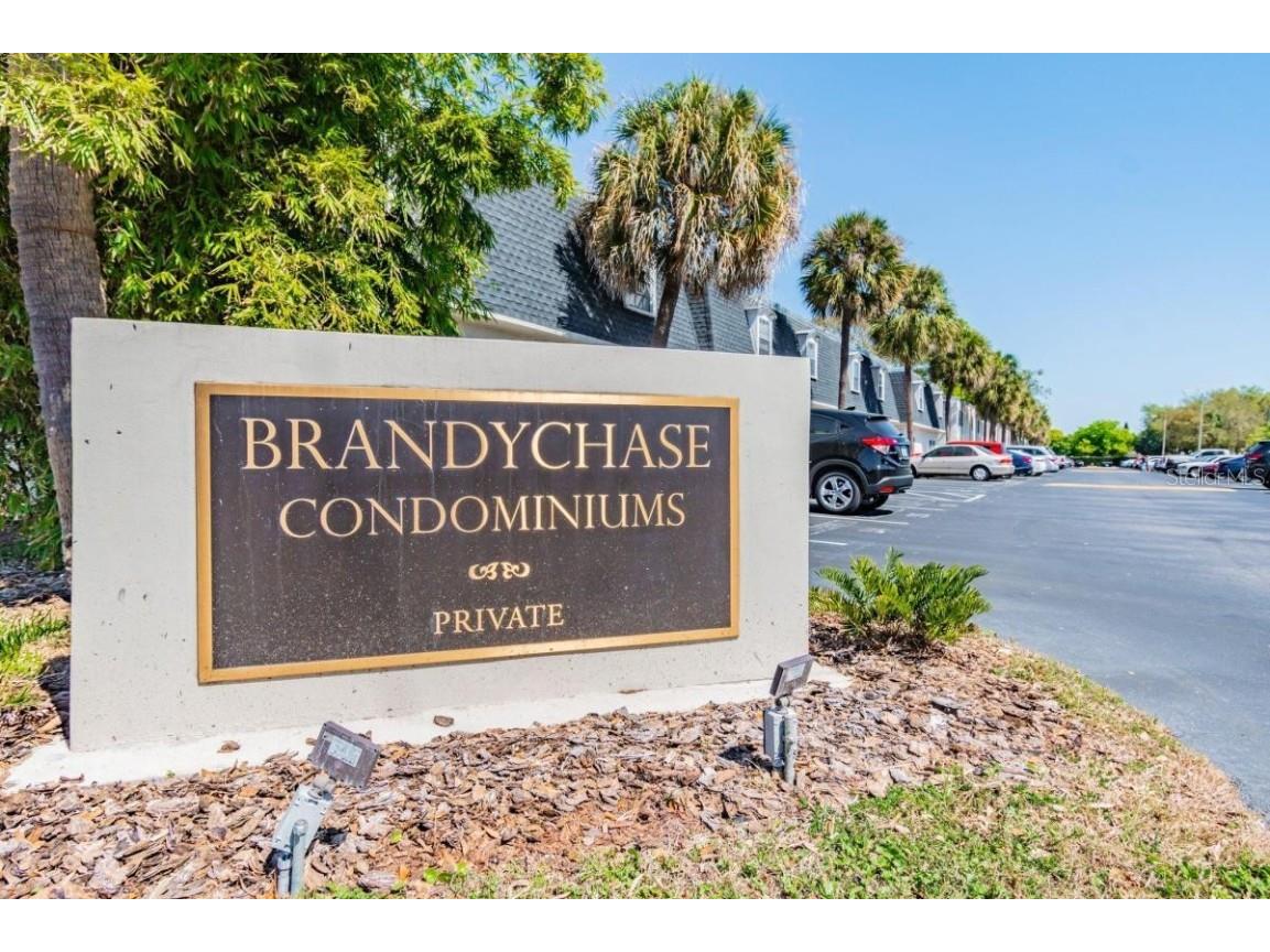 4335 Aegean Drive #108A Tampa FL 33611 TB8447496 image12