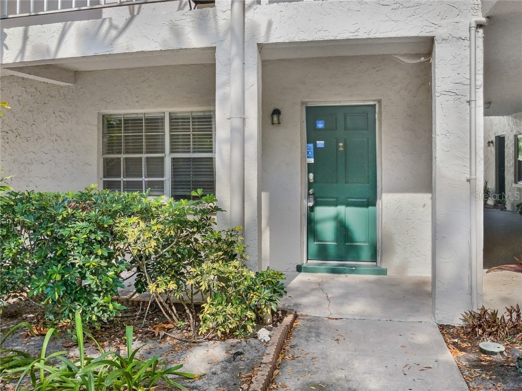 4335 Aegean Drive #116A Tampa FL 33611 O6085838 image1
