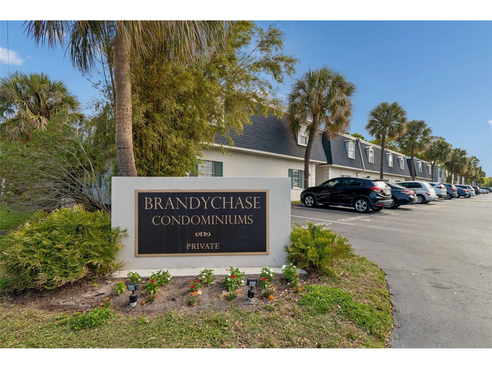 4335 Aegean Drive #136A Tampa FL 33611 TB8490432 image22