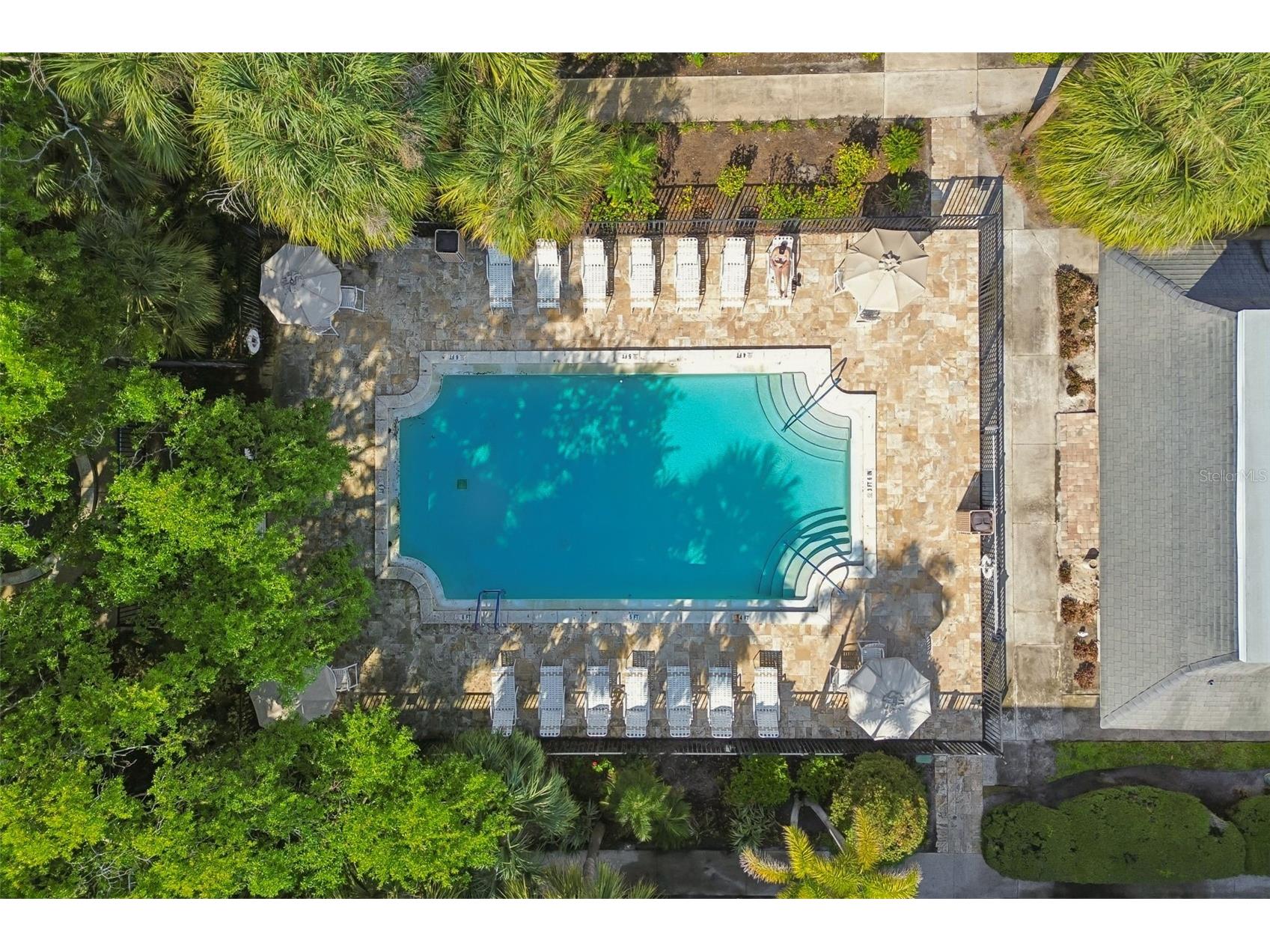 4335 Aegean Drive #136A Tampa FL 33611 TB8490432 image29