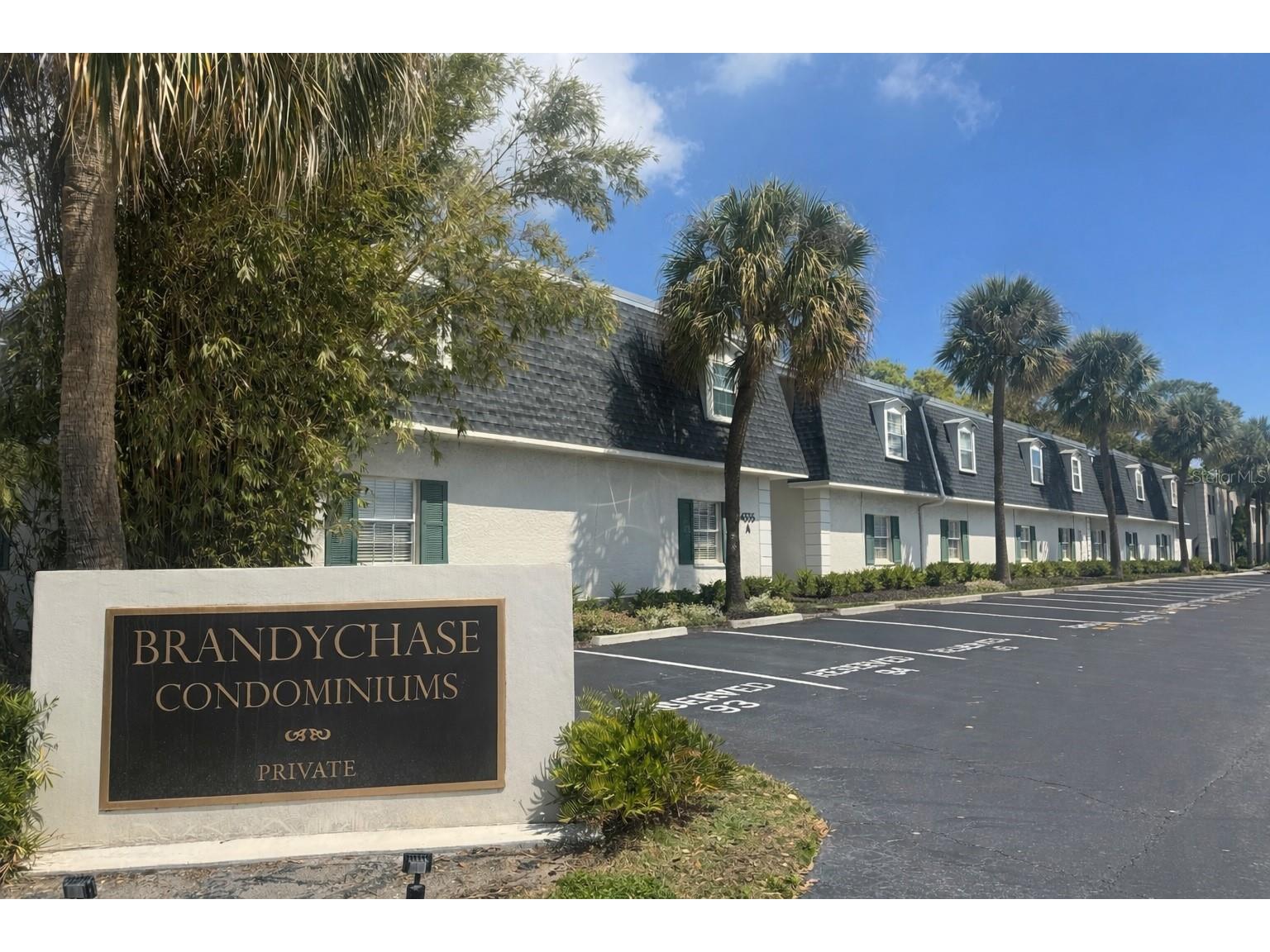 4335 Aegean Drive #212A Tampa FL 33611 TB8441241 image1